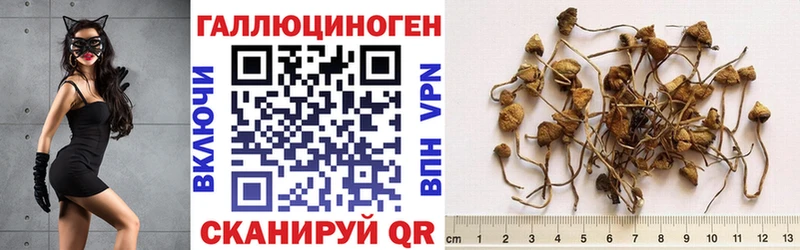 mega ссылка Нестеров Псилоцибиновые грибы мухоморы
